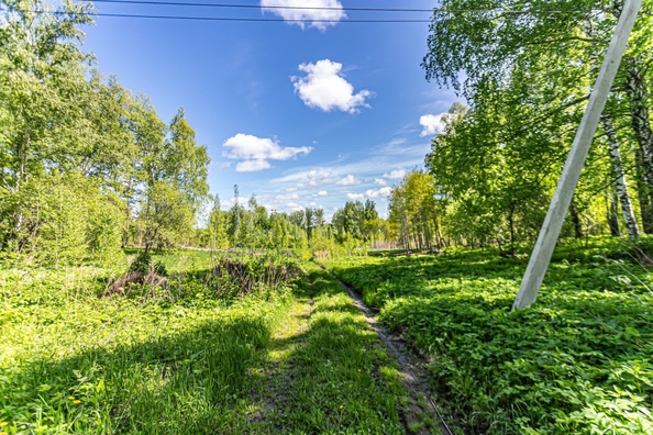 
  Продается земельный участок 10.4 соток. Фото 14.