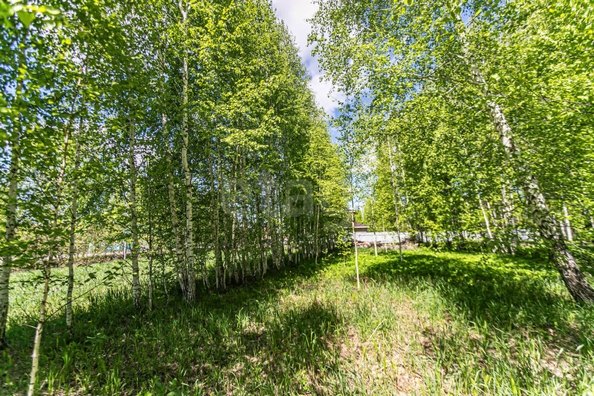 
  Продается земельный участок 10.4 соток. Фото 11.