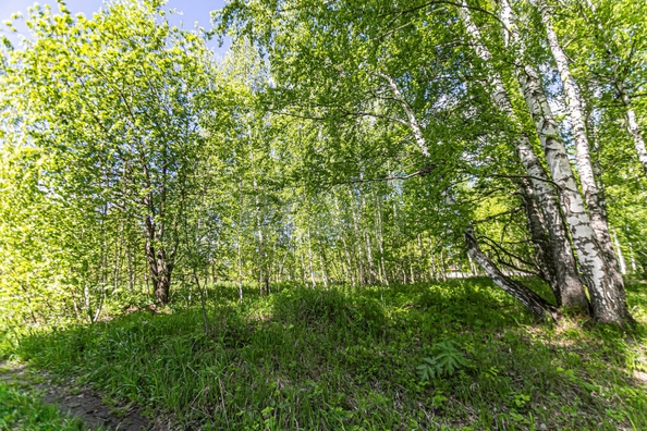
  Продается земельный участок 10.4 соток. Фото 39.