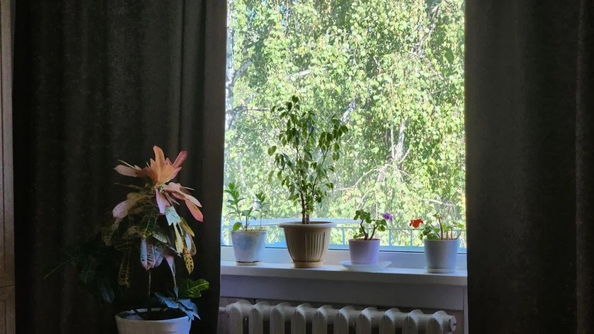 
  Продается 2-комн. квартира 43.5 м². Фото 12.