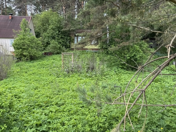 
  Продается дача 20 м². Фото 5.