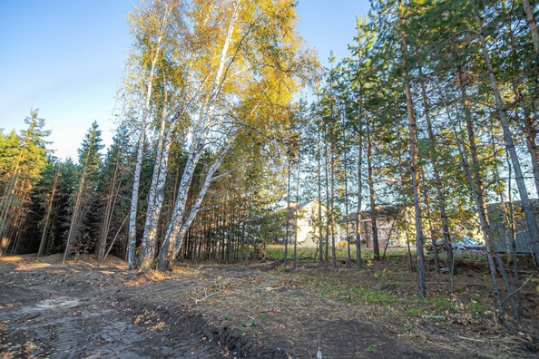 
  Продается земельный участок 8.8 соток. Фото 13.