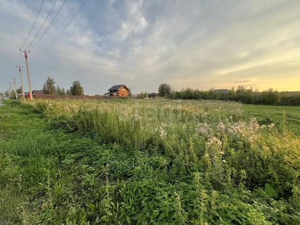 
  Продается земельный участок 12 соток. Фото 1.