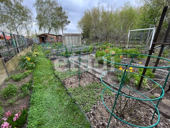 
  Продается дача 20 м². Фото 17.