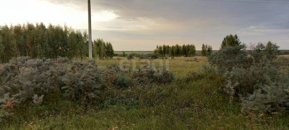 
  Продается земельный участок 10.02 соток. Фото 2.