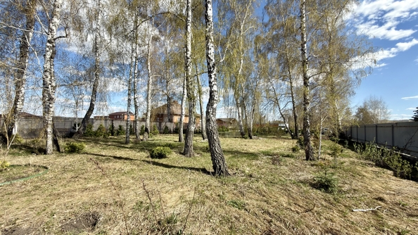 
  Продается земельный участок 8.14 соток, в КП Морские просторы. Фото 9.