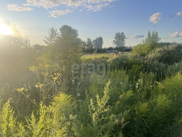 
  Продается земельный участок 8 соток. Фото 5.