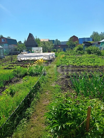 
  Продается дача 36 м². Фото 3.