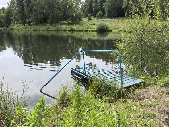 
  Продается дача 20 м². Фото 30.