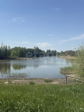 
  Продается земельный участок 10 соток, в КП Порт Пичуги. Фото 10.