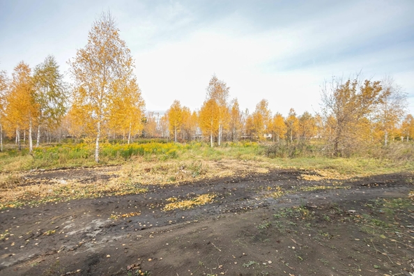 
  Продается дом 71 м². Фото 25.