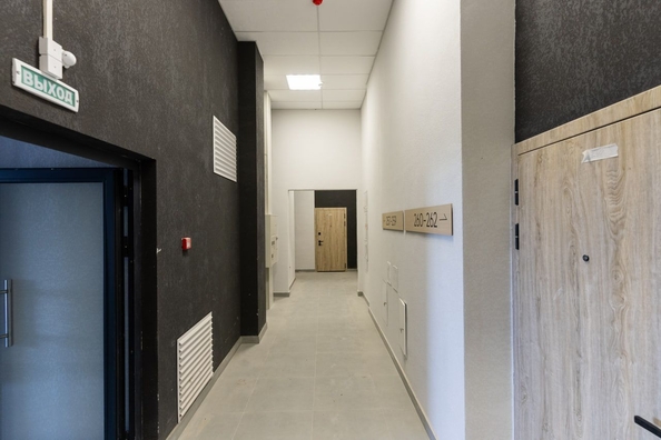 
  Продается 3-комн. квартира 83.1 м², в ЖК Ежевика. Фото 12.