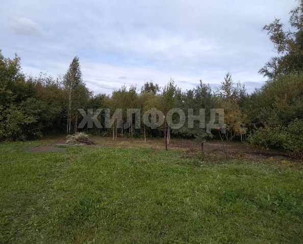 
  Продается дача 30 м². Фото 5.