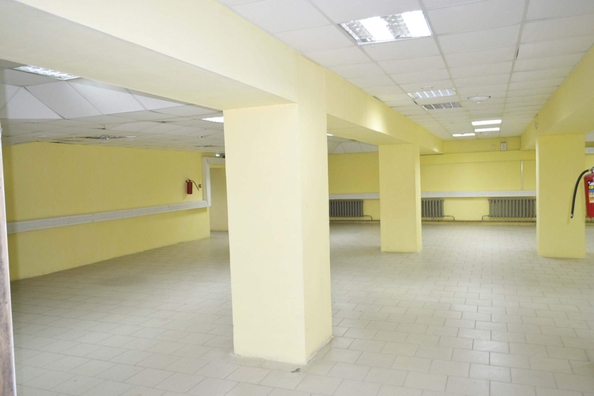 
  Сдается торговая площадь 40 м². Фото 13.