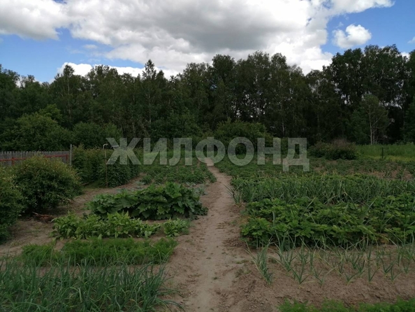 
   Продам дом, 37.8 м², Барышево

. Фото 3.