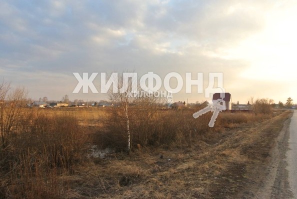 
  Продам  дачный участок, 40 соток, Новомошковское

. Фото 2.