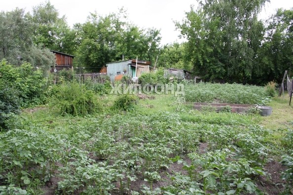 
   Продам дом, 30.3 м², Новосибирск

. Фото 4.