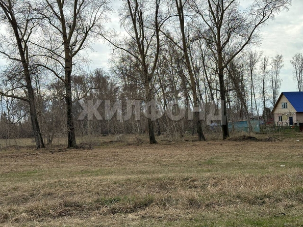 
  Продам  дачный участок, 6.03 соток, Боровое село

. Фото 1.