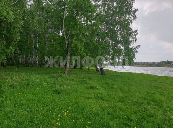 
  Продам  дачный участок, 20.1 соток, Бурмистрово

. Фото 2.