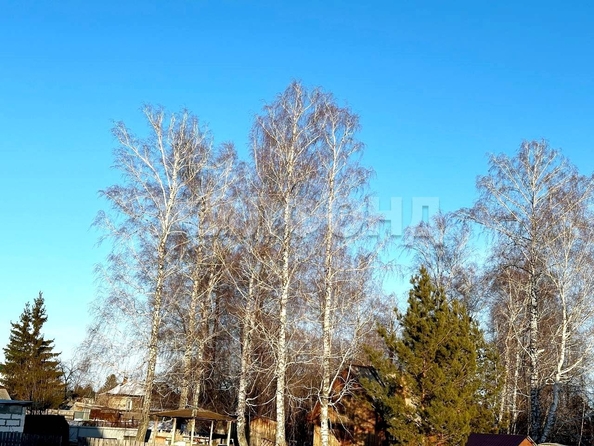 
  Продам  дачный участок, 12.05 соток, Боровое село

. Фото 3.