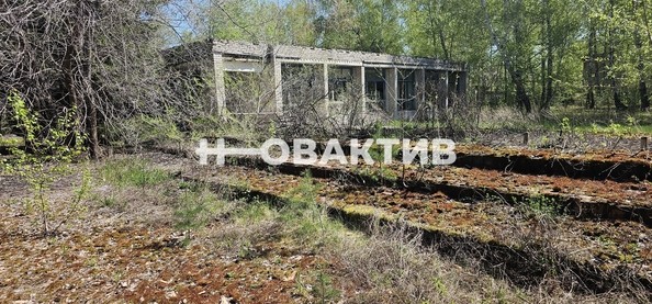 
   Продам помещение свободного назначения, 7600 м², Красная (Боровская радуга тер. СНТ) ул, 2А

. Фото 5.