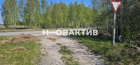 
   Продам помещение свободного назначения, 7600 м², Красная (Боровская радуга тер. СНТ) ул, 2А

. Фото 13.