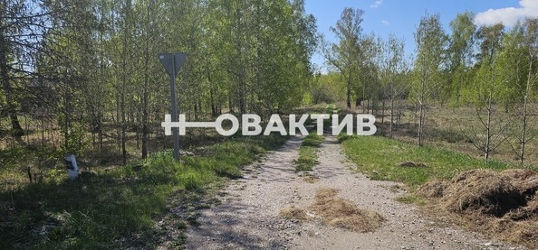 
   Продам помещение свободного назначения, 7600 м², Красная (Боровская радуга тер. СНТ) ул, 2А

. Фото 16.