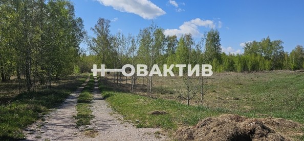 
   Продам помещение свободного назначения, 7600 м², Красная (Боровская радуга тер. СНТ) ул, 2А

. Фото 17.