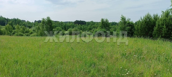 
  Продается земельный участок, 10.52 соток, поселок Воробьевский
. Фото 8.