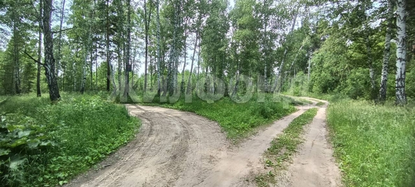 
  Продается земельный участок, 10.52 соток, поселок Воробьевский
. Фото 12.