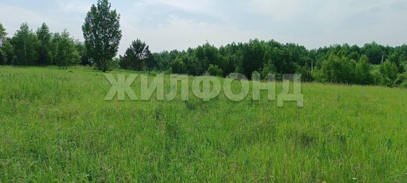 
  Продается земельный участок, 12 соток, поселок Воробьевский
. Фото 5.