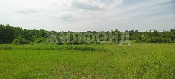 
  Продается земельный участок, 12 соток, поселок Воробьевский
. Фото 8.