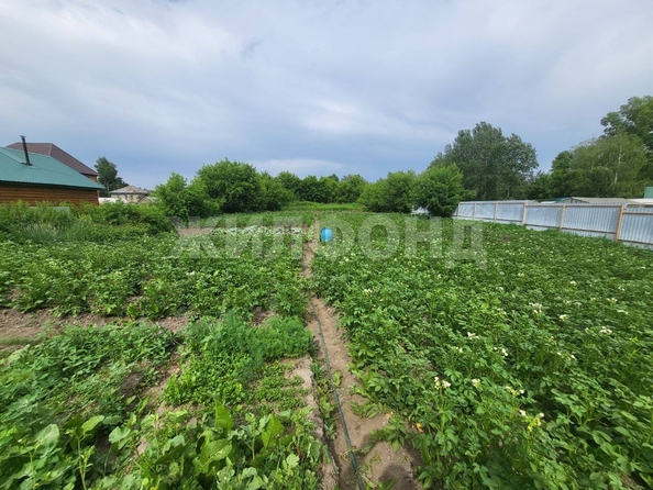 
  Продам  дачный участок, 14 соток, Новолуговое

. Фото 1.