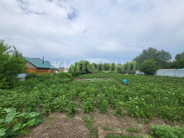 
  Продам  дачный участок, 14 соток, Новолуговое

. Фото 2.