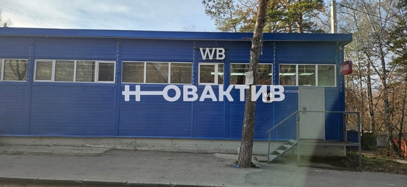 
   Сдам помещение свободного назначения, 81 м², Звездная ул, 22Б

. Фото 4.