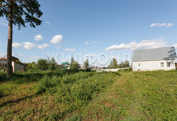 
   Продам дом, 39.1 м², Барышево

. Фото 19.