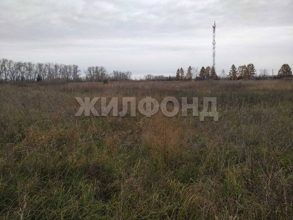 
  Продам  дачный участок, 75 соток, Чернореченский

. Фото 3.