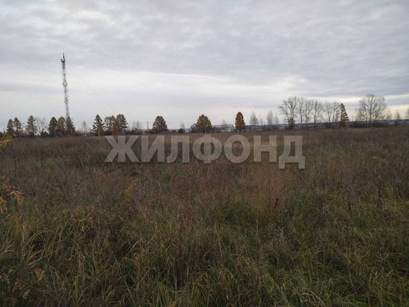 
  Продам  дачный участок, 75 соток, Чернореченский

. Фото 6.