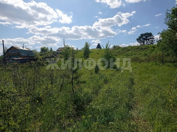 
  Продается земельный участок, 13 соток, село Кубовая
. Фото 4.