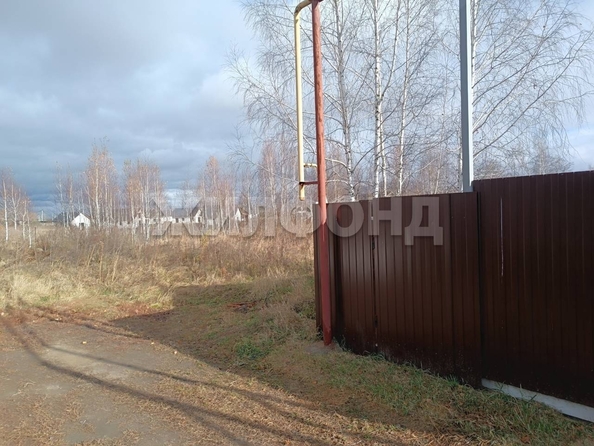 
  Продам  дачный участок, 10 соток, Воробьевский пос

. Фото 5.