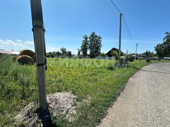 
  Продам  дачный участок, 16 соток, Боровое село

. Фото 7.