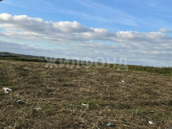 
  Продам  дачный участок, 25 соток, Прокудское

. Фото 3.