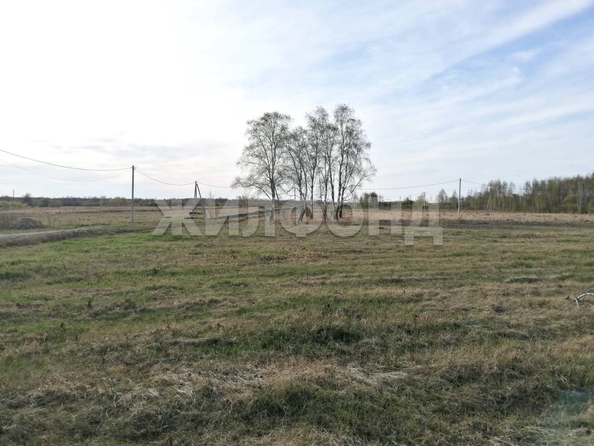 
  Продам  дачный участок, 10.88 соток, Марусино село

. Фото 3.
