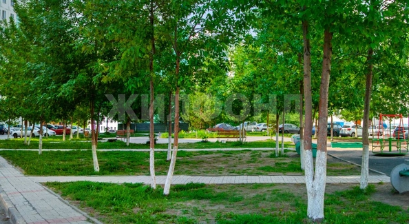
  Продается студия, 32.5 м², Татьяны Снежиной ул, д. 41
. Фото 6.