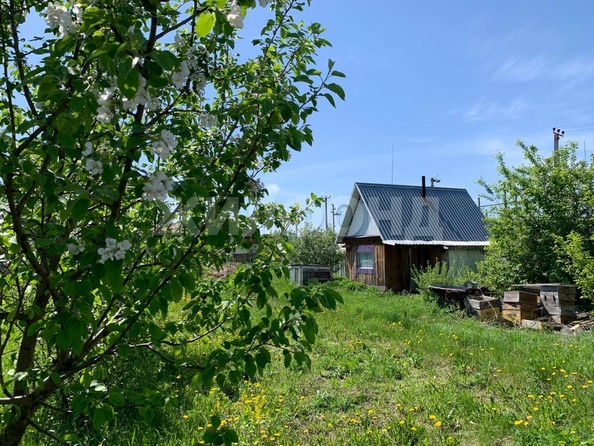 
  Продается дом, 40 м², село Верх-Тула
. Фото 3.