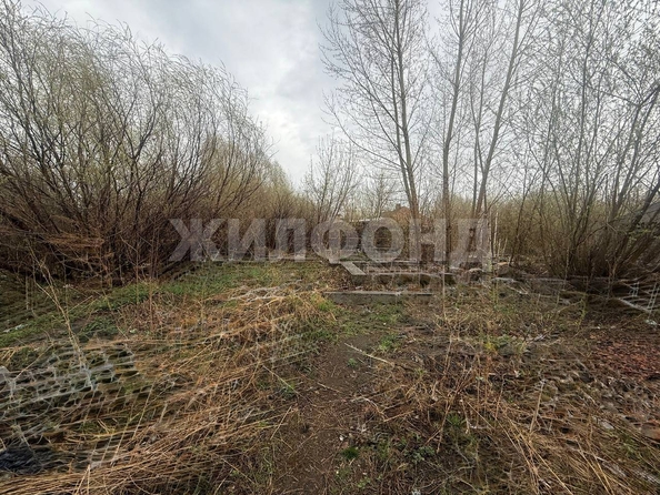 
  Продается дом, 38.8 м², Новосибирск
. Фото 7.