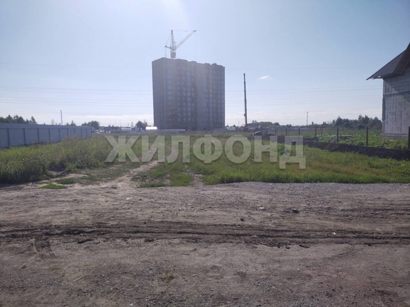 
  Продам  дачный участок, 10.3 соток, Обь

. Фото 5.