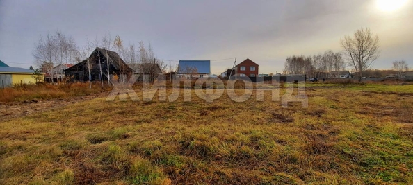 
  Продам  дачный участок, 8.5 соток, Новосибирск

. Фото 2.
