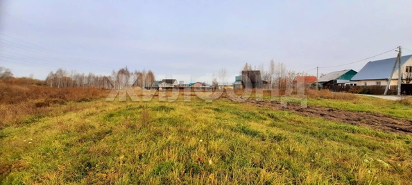 
  Продам  дачный участок, 8.89 соток, Новосибирск

. Фото 3.