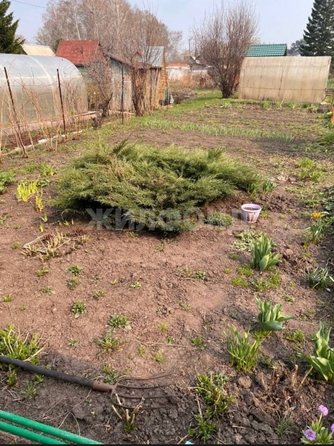 
  Продам дачу, 5.4 соток, Новосибирск

. Фото 12.